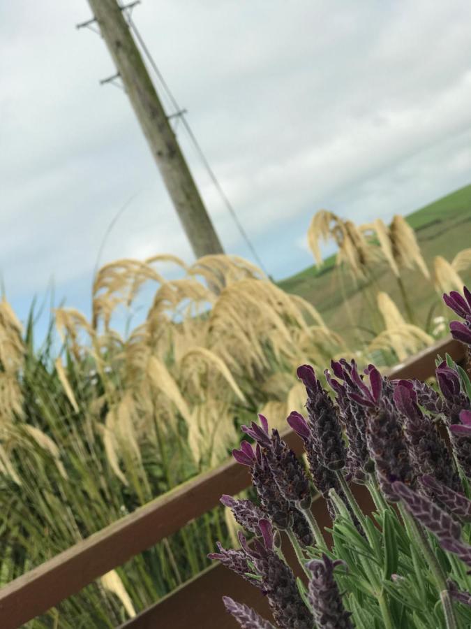 Lodge Cabin With Fabulous Views - Farm Holiday سْترانرير المظهر الخارجي الصورة